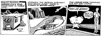 Beached Whale comic