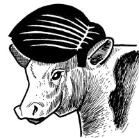 Cow Wig comic