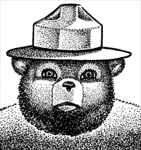Smoky the Bear comic