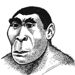 Caveman Profile
